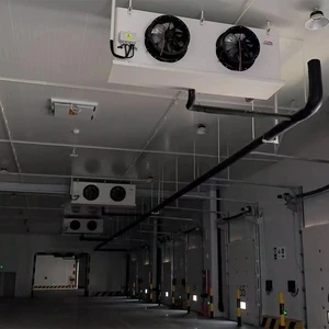 Commercial Walk-in Refrigerator Customizable Dimensions Built-In Installation Slaughter Cold Storage