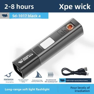 High-Brightness 1W AAA Battery Dimmable LED Flashlight USB Rechargeable Outdoor Small Hiking Portable Home Lighting