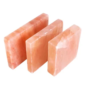High Quality Himalayan Salt Bricks and Tiles Best Selling Natural Salt Lamp Style at an Unbeatable Price