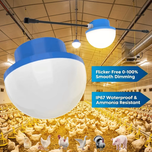 Poultry Lighting Chicken Coop LED Light Farm 220V/48V Ammonia-resistant IP67 Waterproof Full Spectrum 5-Year Warranty