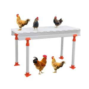 Modern Farm Poultry Equipment Plastic Poultry Leakage Dung Board / Chicken Slatted Floor