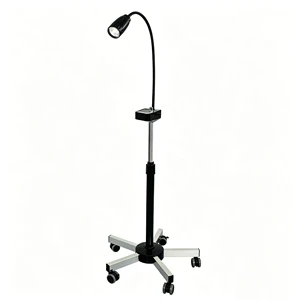 Factory Wholesale Professional 28W LED Examination Lamp 45000 Lux Mobile Medical Lighting With Stainless Steel Base For Clinic