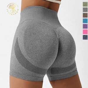 Fitness Shorts Custom Seamless Plus Size Women's Activewear Athletic Shorts Workout Gym Spandex Biker Yoga Shorts for Women Sexy