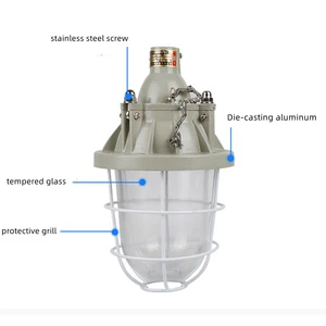 Hot Selling ATEX 200w hid Explosion Proof Light Fixture Gas and Water Proof Led Lamp High-pressure Sodium Lamps