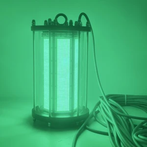 New Arrival LED Fishing Lights Underwater Green Lure Squid Fish Flounder Attracting 4000w Fishing Light Lamp for Dock Boats
