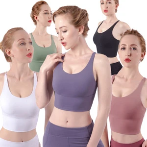 High Quality Breathable and Seamless Yoga Bra Lightweight Fitness Backless Sports Bra Minimum Order 3pcs Wholesale