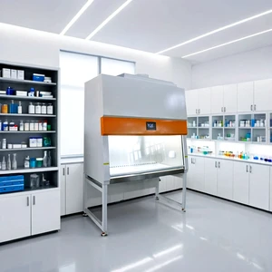 Clean Room Class II Biosafety Cabinet BSC-1600IIB2 100% Air Exhaust Safety Cabinet for Laboratory