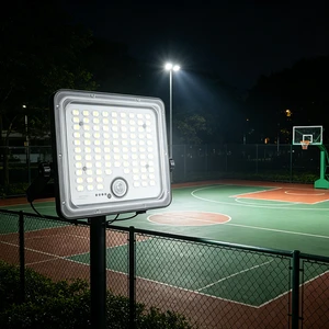 Weatherproof Motion Sensor Security Light with Dimmable LED for Outdoor Porch Entryway Night Safety