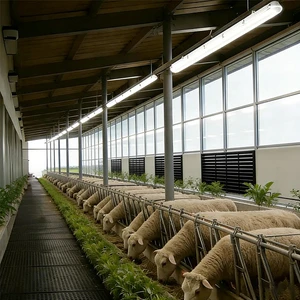 4FT 40W Negative Ion Tri-proof Lamp IP65 Waterproof Sterilization Warmth Livestock Lighting LED Lamp for Pig and Cattle Farms