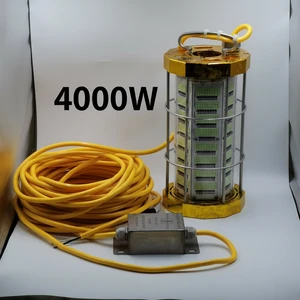 110V/220V 4000W Waterproof IP68 Aluminum Alloy Blue Multi-Color Outdoor Underwater LED Fishing Lamp for Squid Salmon