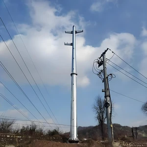 11kv Electric Transmission Tower Pole 650 Dan Overhead Line Project Q420B Steel 10-60m Height 50 Years Service Life Hot Dip