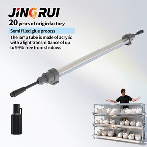 Customized T5 LED Poultry Light Tube 60cm 120cm IP67 Dimmable Lighting For Poultry Layer Cage System