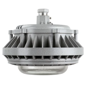 Factory Direct Explosion Proof Spotlight 40W 50W 60W Explosion-Proof Lamps WF2 Freezer Explosion Proof Light for Oil Station