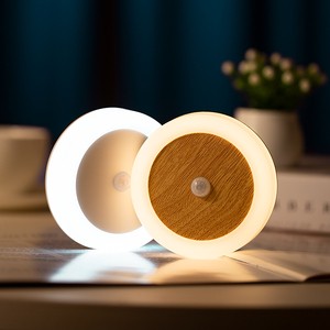 Motion Sensor Led Light Usb Rechargeable Sensor Night Light Security Light with Motion Sensor