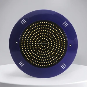 Blue Niche ABS Wall-Mounted IP68 Waterproof LED Pool Light with Remote Control