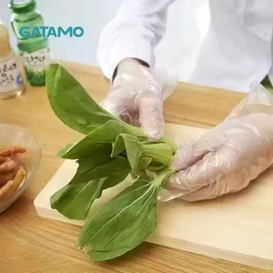 SP005 Affordable Disposable Food Safe Transparent HDPE PE Plastic Single Use Folding Hand Gloves