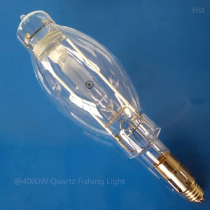 Deep Sea Drop Light Catch Fishing Lamps 2000w 3000w