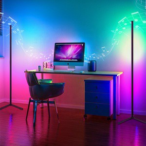 Drop Shipping Remote Control Decorative Tripod Nordic Modern CCT Color Change Corner Led Rgb Floor Standing Lamp for Living Room