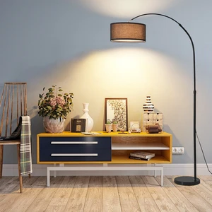 Floor Lamp Living Room Sofa Fishing Light Nordic Creative Light Luxury Retro Study Bedroom protection Eye Black Standing Lamp