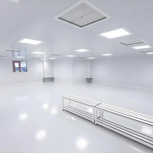 One-stop Solution ISO 8/ 7/6/5 Modular Clean Room Dust Free Room Hard Wall Clean Room Modular