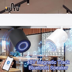 Magnetic Track Speaker 48V LED Light Black White Wireless Ceiling Audio System For Cafe Restaurant Bar Commercial Shop