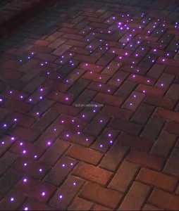 IP68 Waterproof LED Fiber Optic Floor Lights with Ethernet Network Cable PE Jacket for Road/Brick Decoration & OEM