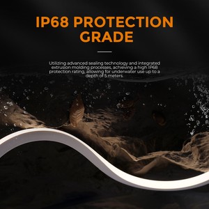 SHINESKY Professional Swimming Pool LED Neon Strip IP68 Waterproof DC24V Silicone Flexible Light For Fountain Water Feature