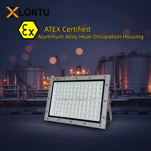 50W-250W IP65 Aluminum Alloy ATEX Explosion Proof Flood Light For Chemical Storage - Lontu