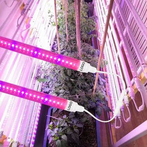 Liweida 0.3m 0.6m 0.9m 1.2m 1.5m Hydroponic Strawberry T8 Led Strip Lights Tube Plants Full Spectrum Led Grow Light Blue Red