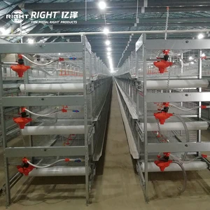 Solar Powered Chicken Coop H Type Automatic Baby Layer Broiler Chicken Brooder Day Old Chick Battery Pullet Cage
