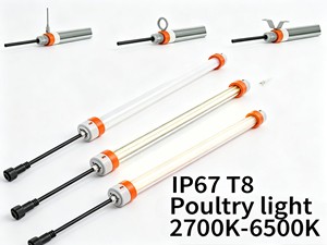 LED Light for Poultry Farm Horizontal Hanging T8 3ft 4ft 5ft 18W 24W 28W Flicker-free Red+White Switchable