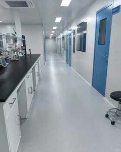 ISO Cleanroom Turnkey Solution GMP Standard Custom Industrial Cleanroom Laboratory Electronics Food 1 Year Warranty China Origin
