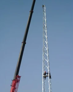 20-meter High-rise Building Lightning Protection Triangle Independent Lightning Protection Tower Hot Dip Galvanized