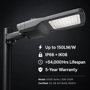 Factory Wholesale Security High Quality IP66 Outdoor Waterproof Led Lamp Aluminum COB 50w 100w 150w 200w Led Street Light