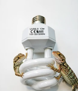 UVB 5.0 Best-Selling Fluorescent Glass Container Lamp For Reptiles Pet Care Lamp