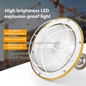 Hot Selling IP65 LED Chip Explosion-Proof Lights 3-Year Warranty for Coal Mining Dust Workshops Chemical Plants Flammable