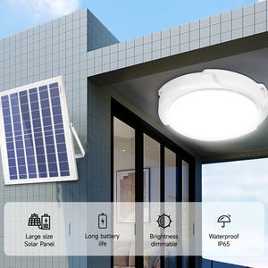 High Power House Restaurant Lamp Indoor Lighting Outdoor Ceiling Light/Solar Ceiling Light Modern/Led Ceiling Lights