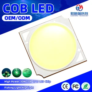 High Power 30W COB LED Chip Highlight Blue Green Light For Fishing Light