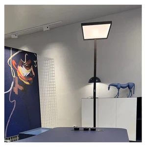 Floor Lamp Zhongshan Unique Standing Modern Design New Black Led Floor Lamp for Living Room/corner/home/office/study Floor Lamps