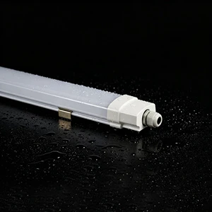 IP65 Waterproof Dustproof Industrial LED Light Fully PC Three-tone CCT High Lumen Cold Storage Farm 600MM 4FT 18W/36W/50W 5-Year