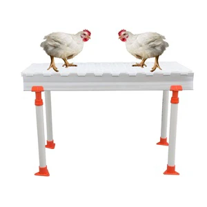 Multi Applications Small Hole Least Cost Of Bedding Poultry Plastic Mat For Broiler