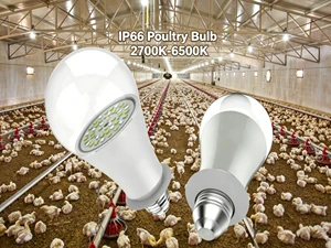 LED Poultry Farm Chicken Light Bulb, IP66, Flicker-Free, Aluminum, 130lm/W, 0-100% Dimming,