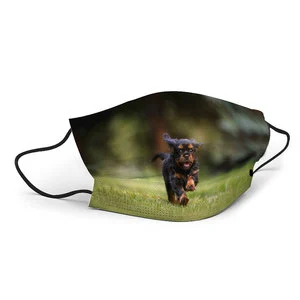 Wholesale Protective Transparent Safety Breathable Custom Colorful Adult Face Mask Customized Face Masks