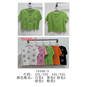 Women's Plus Sizes Floral T-Shirt Wholesale Supplier Sizes 2XL 5XL Long Length Cotton Casual Formal Styles Printed for Summer
