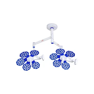 Hex 5+5 LED OT Light Dual Dome Operation Theater Light with Shadowless Illumination for General or Orthopedic for Sale
