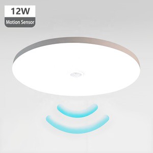 Smart for Bluetooth Dimming LED Sensor Ceiling Light Fixture Indoor Hotel Room Night Lamp Security Motion Sensor for Bathroom Mo