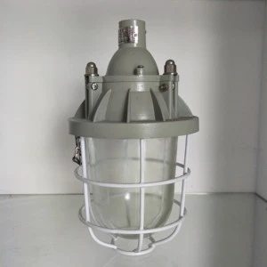250W HPS Explosion Proof Light