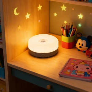 PIR Motion Sensor LED Night Light