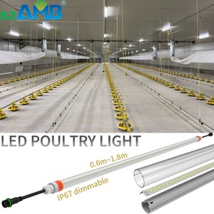 IP67 Led Poultry Light Warm White Led 2700k3000k /red Light Flicker Free Poultry Light Farm Lights agriculture lamp