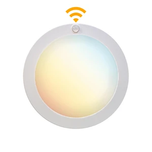Worbest PIR Motion Sensor 4inch Ceiling Light 5CCT Selectable Time Adjustable LED Disk Lights for Bedroom Closet ETL Listed